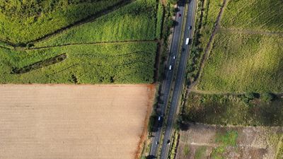 Drone View