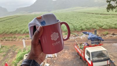 Goodies from Cube